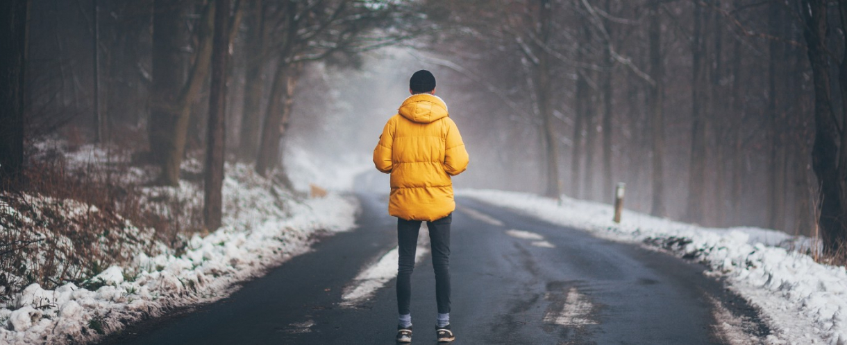 Person standing in a gloomy forest