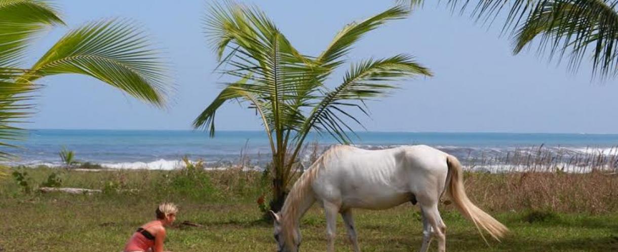 Natasha with one of her horses in Costa Rica